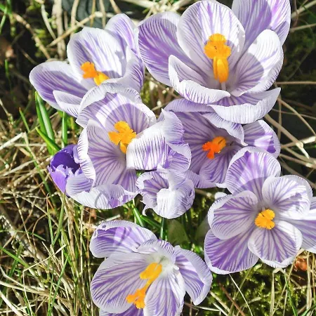 6 Person In Halden-by Traum Feriehus